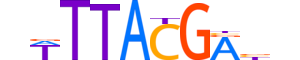 CDX2.H13INVIVO.1.M.C motif logo (CDX2 gene, CDX2_HUMAN protein)
