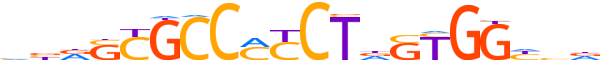 CTCF.H13INVIVO.0.P.B reverse-complement motif logo (CTCF gene, CTCF_HUMAN protein)