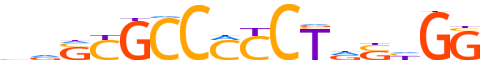 CTCFL.H13INVIVO.0.P.B reverse-complement motif logo (CTCFL gene, CTCFL_HUMAN protein)