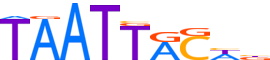 DLX2.H13INVIVO.0.PSM.A motif logo (DLX2 gene, DLX2_HUMAN protein)