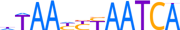 DUX4.H13INVIVO.0.P.B reverse-complement motif logo (DUX4 gene, DUX4_HUMAN protein)