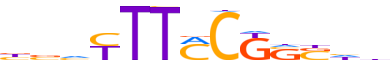 E4F1.H13INVIVO.0.P.B reverse-complement motif logo (E4F1 gene, E4F1_HUMAN protein)