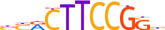 ELK3.H13INVIVO.0.PSM.A reverse-complement motif logo (ELK3 gene, ELK3_HUMAN protein)