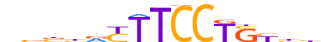 ETV2.H13INVIVO.1.PM.A reverse-complement motif logo (ETV2 gene, ETV2_HUMAN protein)