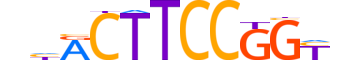 ETV4.H13INVIVO.1.SM.B reverse-complement motif logo (ETV4 gene, ETV4_HUMAN protein)