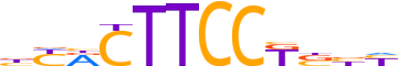 ETV6.H13INVIVO.1.P.B reverse-complement motif logo (ETV6 gene, ETV6_HUMAN protein)