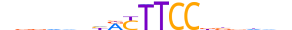 ETV7.H13INVIVO.0.SM.B reverse-complement motif logo (ETV7 gene, ETV7_HUMAN protein)