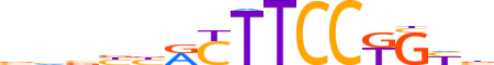 FLI1.H13INVIVO.0.PSM.A reverse-complement motif logo (FLI1 gene, FLI1_HUMAN protein)