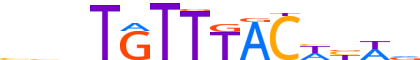 FOXA2.H13INVIVO.0.PSM.A motif logo (FOXA2 gene, FOXA2_HUMAN protein)