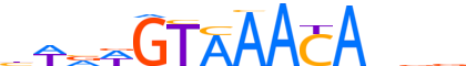 FOXA2.H13INVIVO.0.PSM.A reverse-complement motif logo (FOXA2 gene, FOXA2_HUMAN protein)