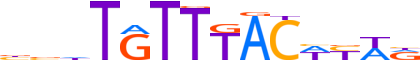 FOXA3.H13INVIVO.0.PS.A motif logo (FOXA3 gene, FOXA3_HUMAN protein)