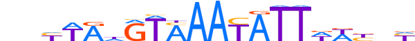 FOXD3.H13INVIVO.1.S.B reverse-complement motif logo (FOXD3 gene, FOXD3_HUMAN protein)