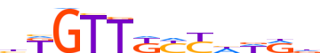 FOXJ2.H13INVIVO.0.PSM.A motif logo (FOXJ2 gene, FOXJ2_HUMAN protein)