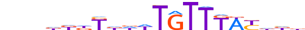 FOXJ2.H13INVIVO.2.S.B motif logo (FOXJ2 gene, FOXJ2_HUMAN protein)