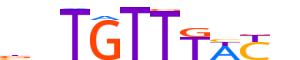 FOXK1.H13INVIVO.0.PS.A motif logo (FOXK1 gene, FOXK1_HUMAN protein)