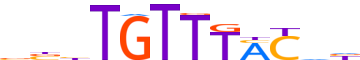 FOXK2.H13INVIVO.0.P.B motif logo (FOXK2 gene, FOXK2_HUMAN protein)