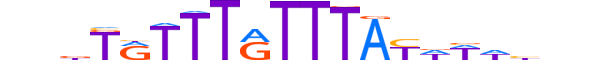 FOXL1.H13INVIVO.0.S.D motif logo (FOXL1 gene, FOXL1_HUMAN protein)