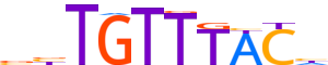 FOXO3.H13INVIVO.0.PS.A motif logo (FOXO3 gene, FOXO3_HUMAN protein)