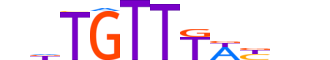 FOXO4.H13INVIVO.0.SM.D motif logo (FOXO4 gene, FOXO4_HUMAN protein)