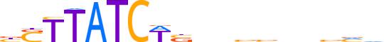 GATA1.H13INVIVO.0.P.B reverse-complement motif logo (GATA1 gene, GATA1_HUMAN protein)