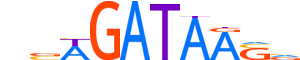 GATA1.H13INVIVO.1.PSM.A motif logo (GATA1 gene, GATA1_HUMAN protein)