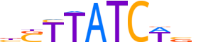 GATA1.H13INVIVO.1.PSM.A reverse-complement motif logo (GATA1 gene, GATA1_HUMAN protein)