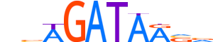 GATA2.H13INVIVO.0.PSM.A motif logo (GATA2 gene, GATA2_HUMAN protein)