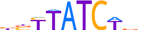 GATA2.H13INVIVO.0.PSM.A reverse-complement motif logo (GATA2 gene, GATA2_HUMAN protein)