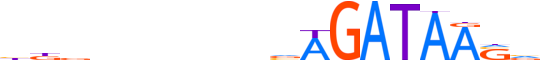 GATA2.H13INVIVO.1.P.B motif logo (GATA2 gene, GATA2_HUMAN protein)