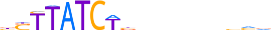 GATA2.H13INVIVO.1.P.B reverse-complement motif logo (GATA2 gene, GATA2_HUMAN protein)