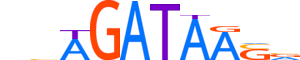 GATA4.H13INVIVO.0.PSM.A motif logo (GATA4 gene, GATA4_HUMAN protein)