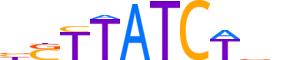 GATA4.H13INVIVO.0.PSM.A reverse-complement motif logo (GATA4 gene, GATA4_HUMAN protein)