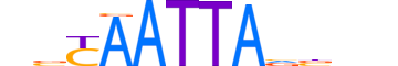 GBX1.H13INVIVO.0.S.D reverse-complement motif logo (GBX1 gene, GBX1_HUMAN protein)