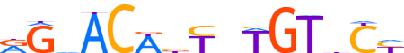 GCR.H13INVIVO.0.PS.A reverse-complement motif logo (NR3C1 gene, GCR_HUMAN protein)