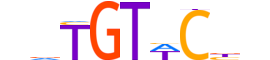 GCR.H13INVIVO.1.S.B motif logo (NR3C1 gene, GCR_HUMAN protein)