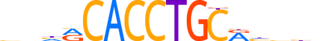 HAND2.H13INVIVO.2.S.C motif logo (HAND2 gene, HAND2_HUMAN protein)