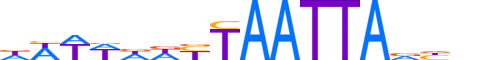 HESX1.H13INVIVO.1.S.D motif logo (HESX1 gene, HESX1_HUMAN protein)