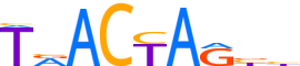 HMBX1.H13INVIVO.0.PSM.A reverse-complement motif logo (HMBOX1 gene, HMBX1_HUMAN protein)