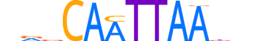 HMX3.H13INVIVO.0.S.D reverse-complement motif logo (HMX3 gene, HMX3_HUMAN protein)