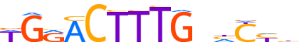 HNF4A.H13INVIVO.0.PSM.A reverse-complement motif logo (HNF4A gene, HNF4A_HUMAN protein)