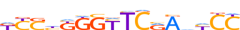 HSF1.H13INVIVO.2.P.B reverse-complement motif logo (HSF1 gene, HSF1_HUMAN protein)