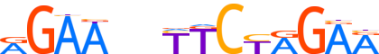 HSF2.H13INVIVO.0.PSM.A motif logo (HSF2 gene, HSF2_HUMAN protein)