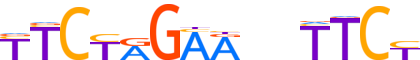 HSF2.H13INVIVO.0.PSM.A reverse-complement motif logo (HSF2 gene, HSF2_HUMAN protein)