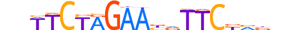 HSF4.H13INVIVO.0.SM.D reverse-complement motif logo (HSF4 gene, HSF4_HUMAN protein)