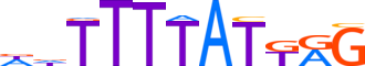 HXA13.H13INVIVO.0.P.B motif logo (HOXA13 gene, HXA13_HUMAN protein)