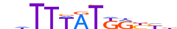 HXA9.H13INVIVO.2.P.B motif logo (HOXA9 gene, HXA9_HUMAN protein)