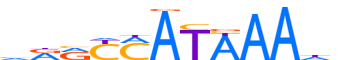 HXA9.H13INVIVO.2.P.B reverse-complement motif logo (HOXA9 gene, HXA9_HUMAN protein)