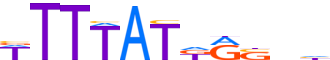 HXB13.H13INVIVO.0.PS.A motif logo (HOXB13 gene, HXB13_HUMAN protein)