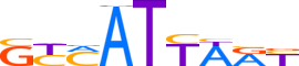HXB4.H13INVIVO.1.PSM.A reverse-complement motif logo (HOXB4 gene, HXB4_HUMAN protein)