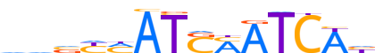 HXB7.H13INVIVO.0.P.C reverse-complement motif logo (HOXB7 gene, HXB7_HUMAN protein)